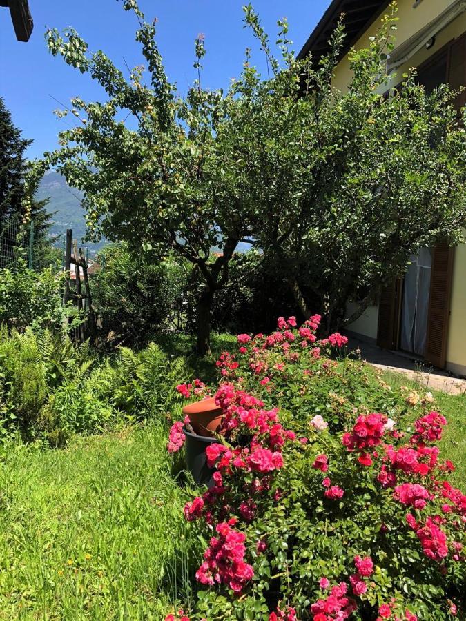 Ferienwohnung The Children Smile- With Private Garden Colico Exterior foto